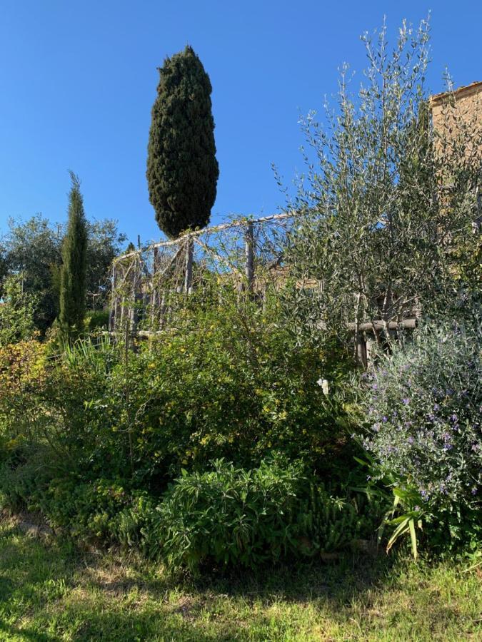 Podere Casallorto Volterra Eksteriør bilde