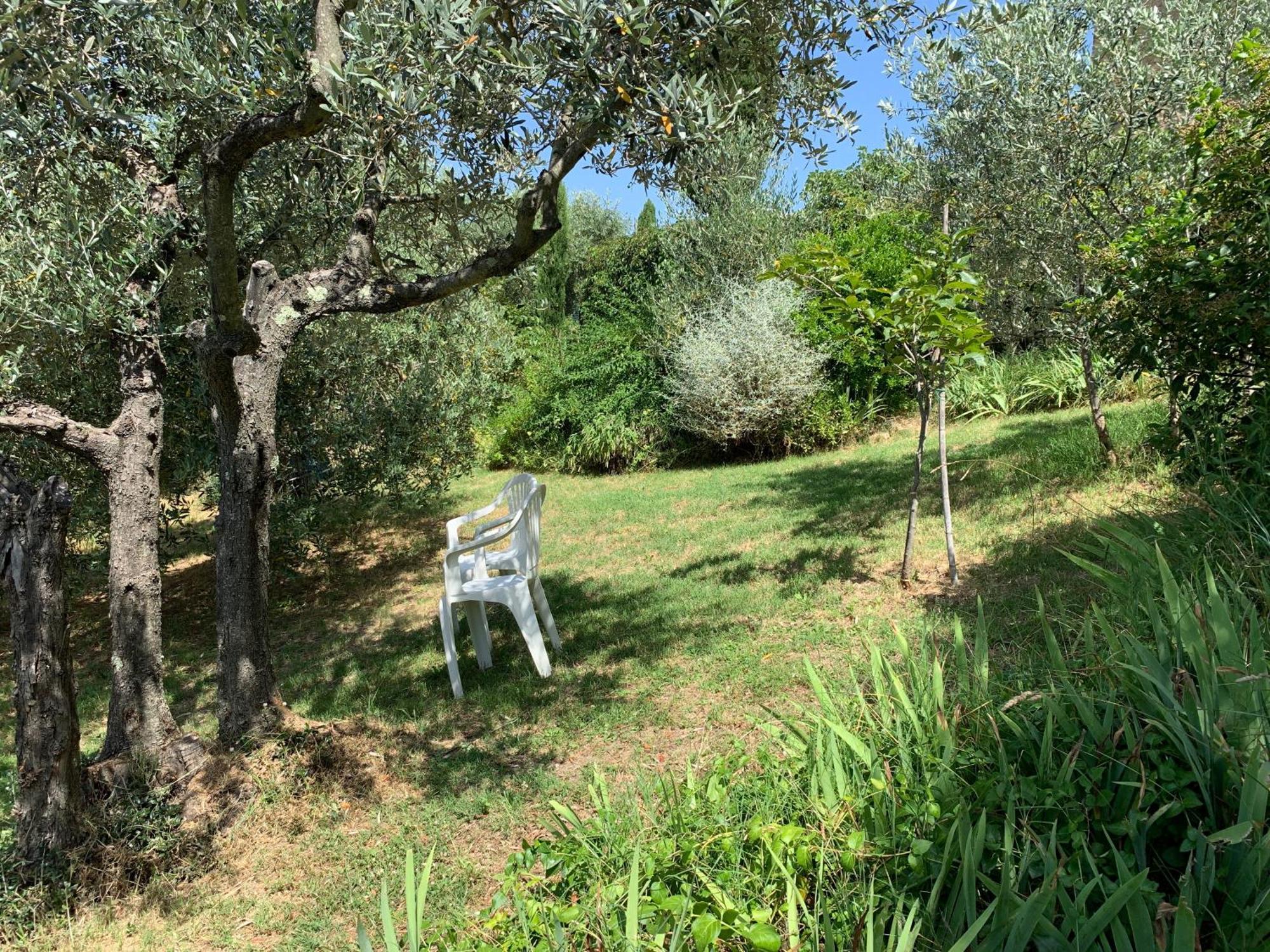 Podere Casallorto Volterra Eksteriør bilde
